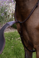 Elastyczny wytok Elastic Bib Martingale Dy'on New English - brązowy