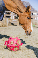 Kentucky elastyczna piłka na siano Relax Horse Play & Hay Ball - ciemny róż