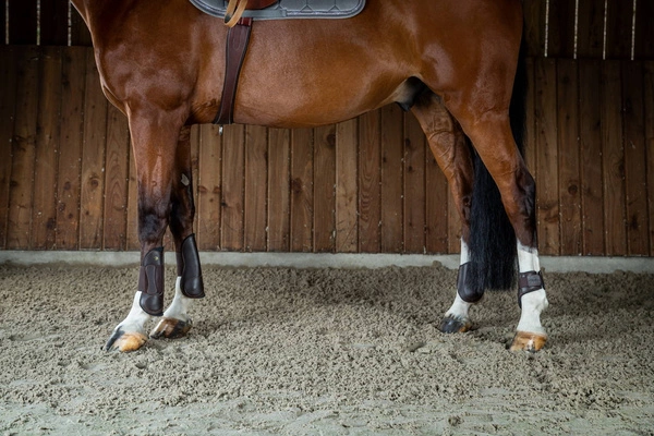 Dy'on skórzane ochraniacze na przednie nogi