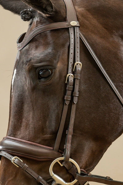 Paski policzkowe Dy'on Dressage Working