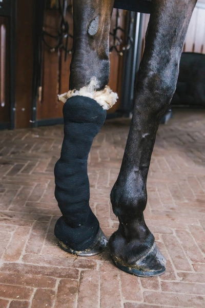 Wełna terapeutyczna - gruda i problemy skórne