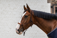 Kantar sznurkowy Kentucky Grooming Deluxe - brązowy