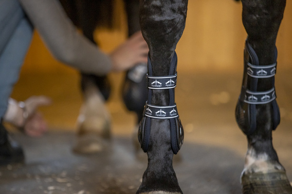 Veredus ochraniacze na przód Carbon Gel Absolute - czarne