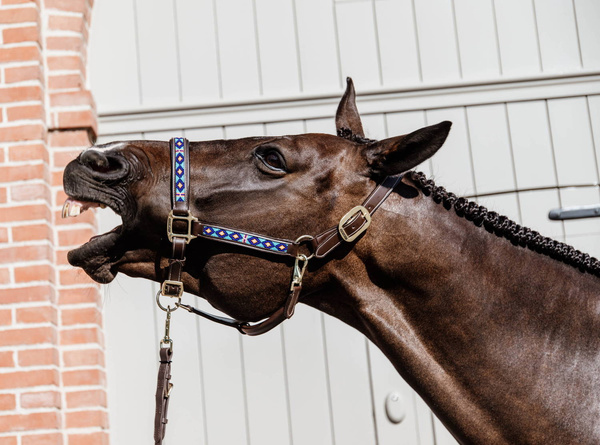 Kentucky kantar Pearls - niebieski