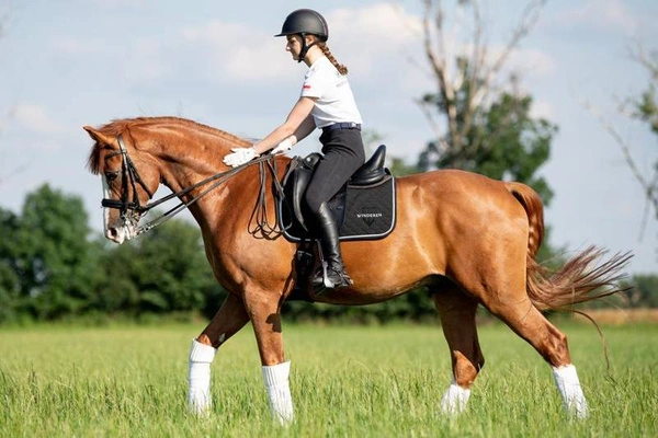 Czaprak Winderen Raven/Silver