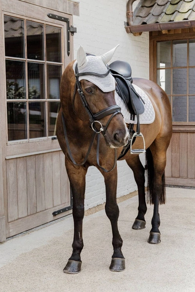 Kentucky nauszniki Wellington Diamond Rope - szare