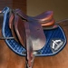 Veredus czaprak skokowy Saddlecloth Jumping S1 Velvet - granatowy
