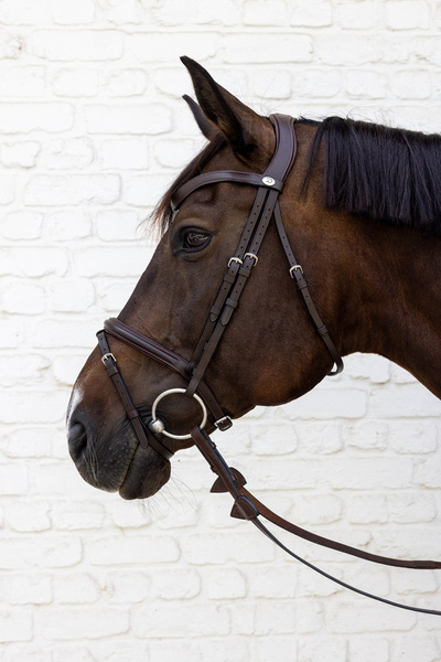 Ogłowie Dy'on New English Flash Noseband Bridle - Soft Collection - brązowe