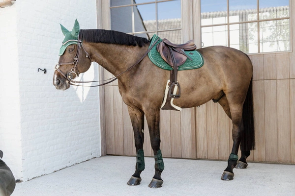Kentucky Ochraniacze Young Horse Fetlock Velvet na zadnie nogi - ciemna zieleń