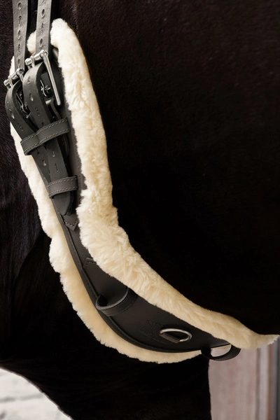 Kentucky anatomiczny ujeżdżeniowy popręg z futrem