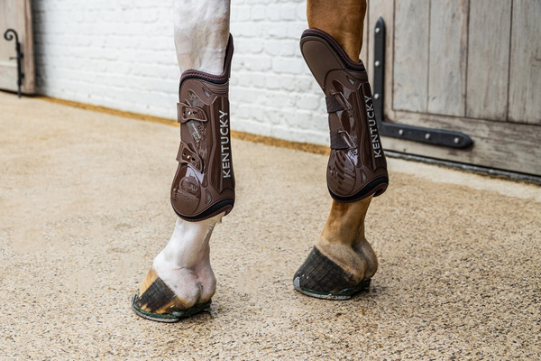 Kentucky Tendon Boots Elastic Knee Protection na przednie nogi - brązowe