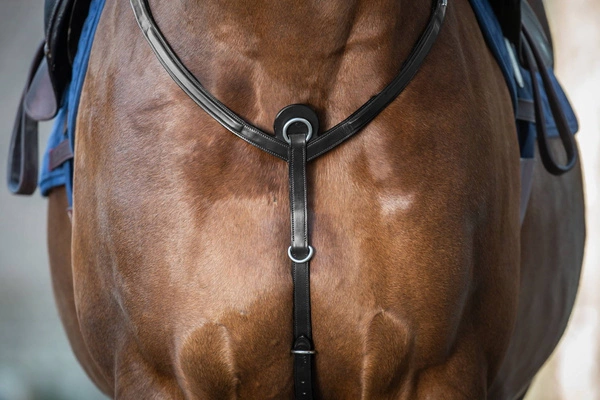 Skórzano-elastyczny napierśnik Dy'on Breastplate New English - czarny