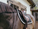 Kentucky czaprak Plaited Cord - czarny