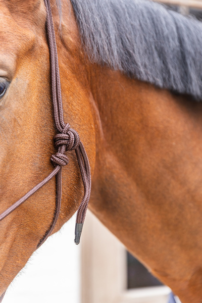 Kantar sznurkowy Kentucky Grooming Deluxe - brązowy