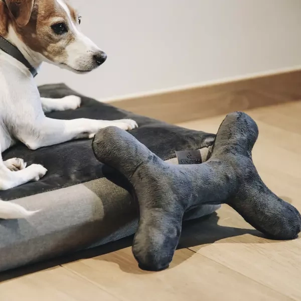 Pluszowa piszcząca kość dla psa Kentucky