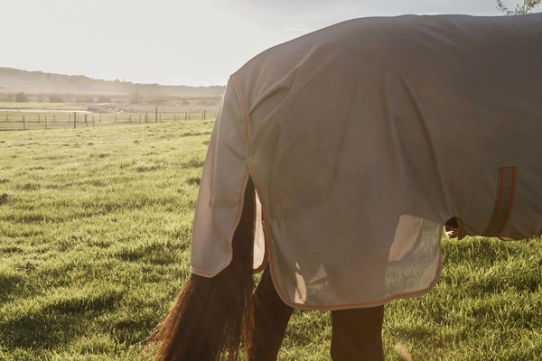 Derka Kentucky Mesh Fly Rug Comfort