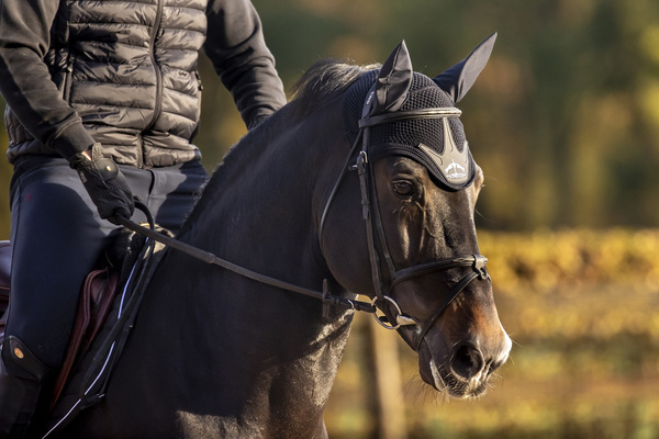 Veredus nauszniki Fly Fringe Stability - czarne