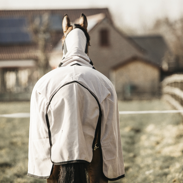 Derka Kentucky Mesh Fly Rug