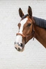 Kantar sznurkowy Kentucky Grooming Deluxe - brązowy