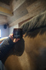 Gumki do grzywy przezroczyste 1500 szt. - Kentucky Grooming Deluxe