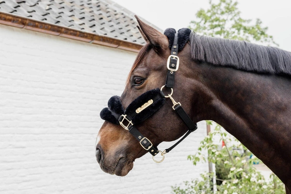 Kentucky kantar podszyty futrem Soft - czarny