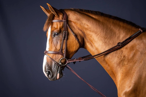 Dy'on wodza pomocnicza New English 5/8