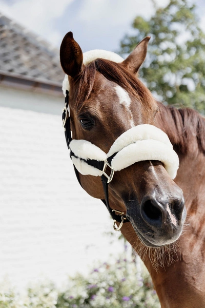 Kentucky kantar podszyty futrem Soft - naturalny