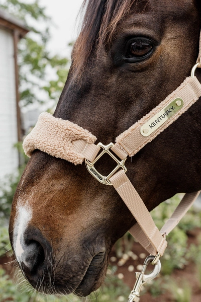 Kentucky kantar Teddy Fleece podszyty puchatym polarem - beżowy