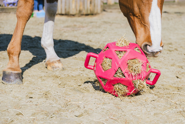 Kentucky elastyczna piłka na siano Relax Horse Play & Hay Ball - ciemny róż