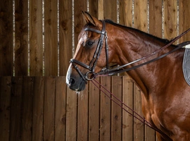 Dy'on wodza pomocnicza Working 5/8