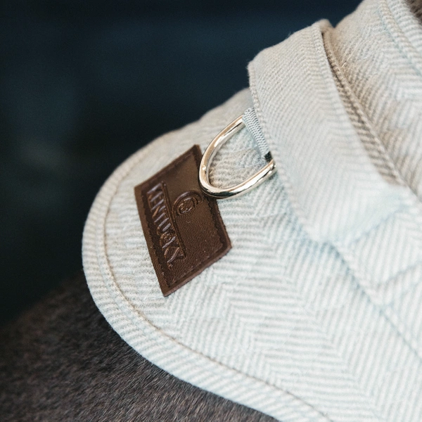 Szelki dla psa Kentucky Body Safe Wool - błękitny