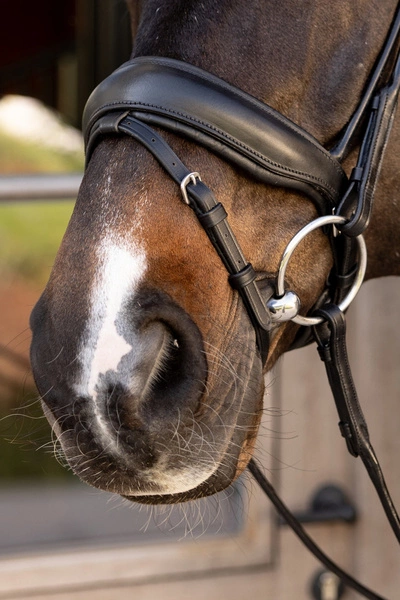 Ogłowie rurkowe Dy'on ComfoHead Working