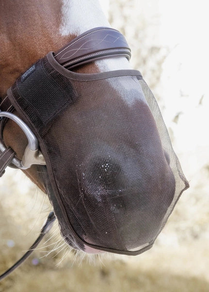 Kentucky maska na nos chroniąca przed owadami - brązowa