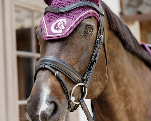 Kentucky nauszniki Wellington 3D Logo Rope - fioletowe