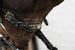 Dy'on łańcuszek do Hackamore Chain 5/8" D Collection - czarny
