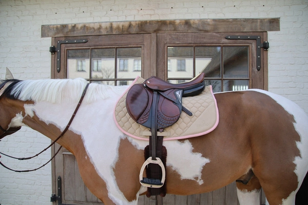 Kentucky czaprak Softshell Onion Quilt - beżowy