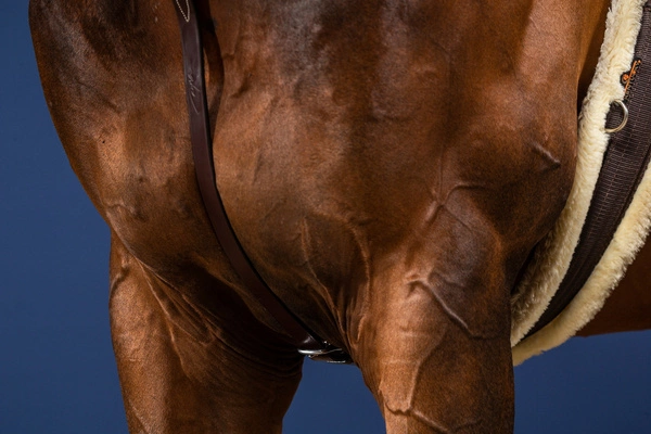 Klasyczny skórzany wytok Dy'on US Jumping - czarny