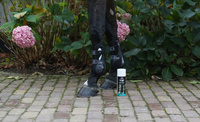 Veredus spray do czyszczenia ochraniaczy REVIVE 400 ml