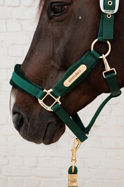 Kentucky kantar anatomiczny Velvet - butelkowa zieleń