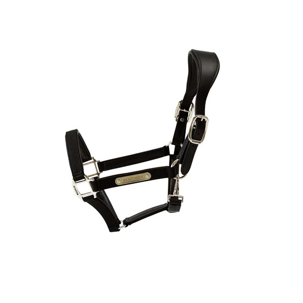 Kentucky kantar Nylon Anatomic - czarny