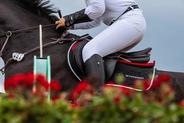 Czaprak Winderen Raven/Silver