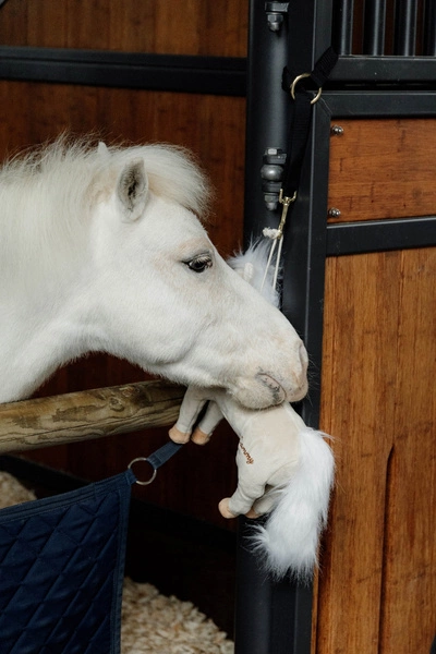 Kentucky Przyjaciel do boksu Sammy