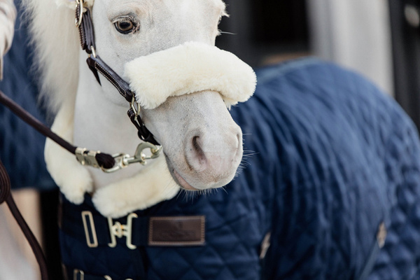  Kentucky kantar Leather Sheepskin 