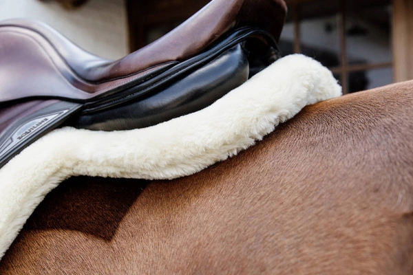 Kentucky czaprak Hunter - biały