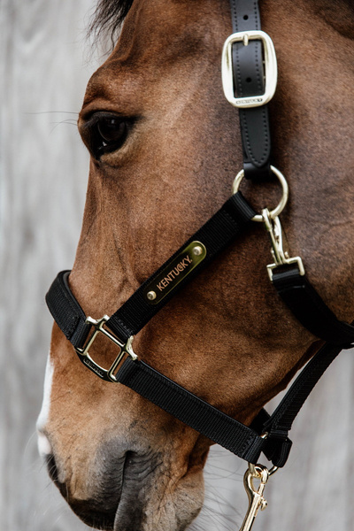 Kentucky kantar Nylon Anatomic - czarny