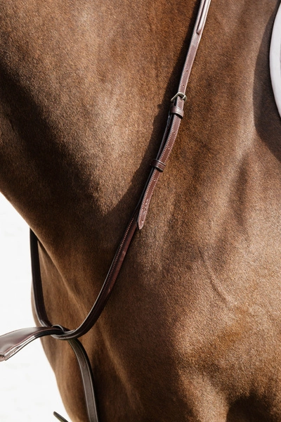 Elastyczny wytok Elastic Bib Martingale Dy'on New English - brązowy