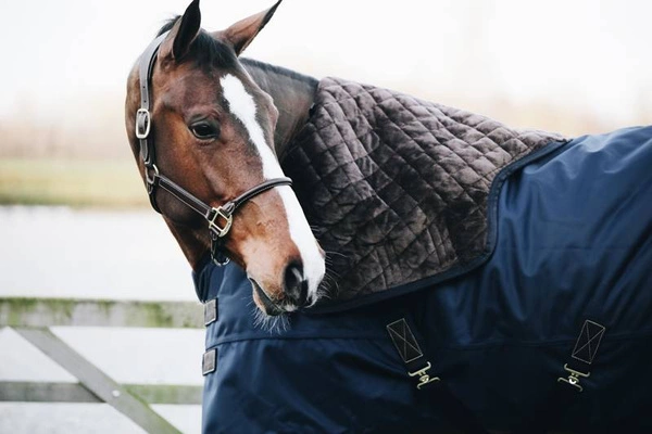 Kentucky derka padokowa All Weather Waterproof Pro 0g - granatowa