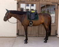Kentucky czaprak Velvet - pine green