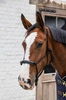 Kantar sznurkowy Kentucky Grooming Deluxe - czarny