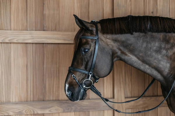 Ogłowie Dy'on z nachrapnikiem angielskim Working bez podgardla